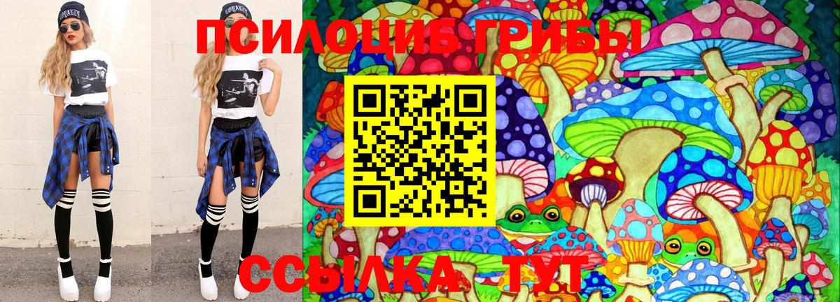 Галлюциногенные грибы Psilocybine cubensis Нижний Новгород